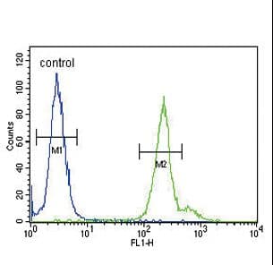 IHC-plus™ GPM6A / Glycoprotein M6A Antibody (aa232-259)