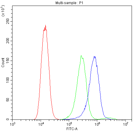 Polyclonal Rabbit anti-Human BAX Antibody (aa19-33, WB)