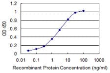 Monoclonal Mouse anti-Human CALM3 / Calmodulin 3 Antibody (clone 1E2, WB)