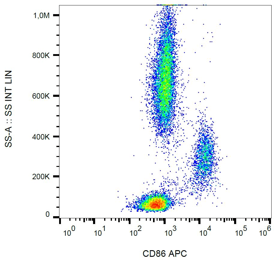 CD86 Antibody (clone BU63, APC)