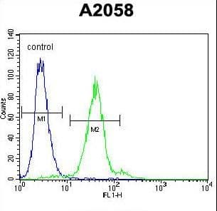 Polyclonal Rabbit anti-Human TEX261 Antibody (aa148-176, IHC, WB)