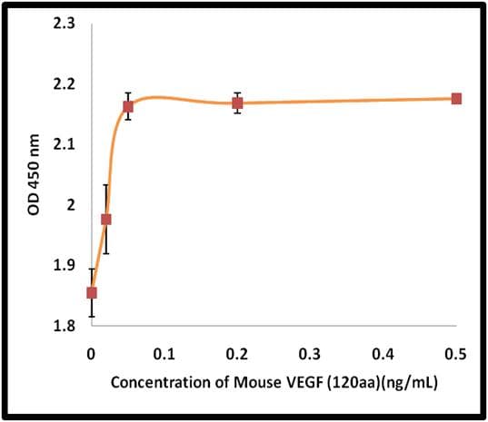 Mouse VEGFA / VEGF Protein (Recombinant)