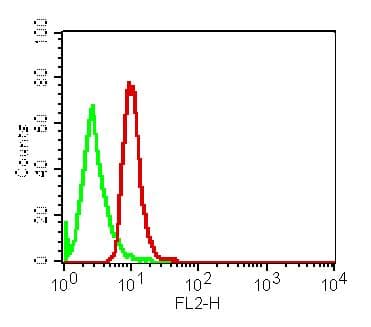 VISA / MAVS Antibody