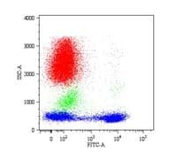 Monoclonal Mouse anti-Human CD5 Antibody (clone CRIS1, IHC, WB)