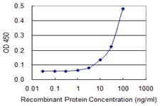 Monoclonal Mouse anti-Human ST3GAL4 / ST3Gal IV Antibody (clone 1F4, WB)
