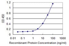 IHC-plus™ VNN1 Antibody (clone 4E11)