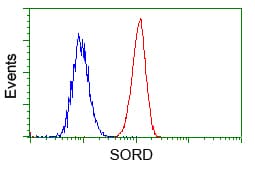 SORD / Sorbitol Dehydrogenase Antibody (clone OTI9G9)