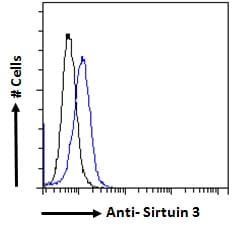 SIRT3 / Sirtuin 3 Antibody (aa170-183)