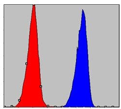 CHUK / IKKA / IKK Alpha Antibody (clone 3G12H9)