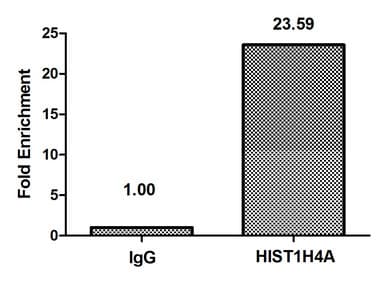 HIST1H4I Antibody