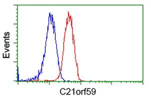 C21orf59 Antibody (clone OTI2E5, Carrier-free)