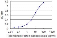 MPST Antibody (clone 1B5)