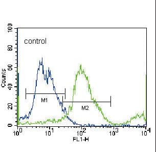 IHC-plus™ SLC36A1 Antibody (aa1-30)