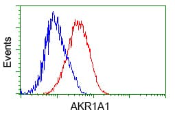 Monoclonal Mouse anti-Human AKR1A1 Antibody (clone OTI9F1, IHC, WB)