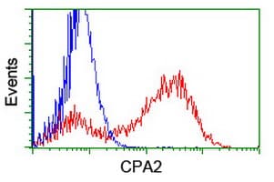 CPA2 Antibody (clone OTI1D8)