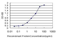 CETN2 / Centrin 2 Antibody (clone 3F8)