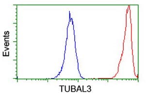 TUBAL3 Antibody (clone OTI1C2)