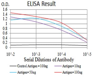 ZFP91 Antibody (clone 8C3D5)