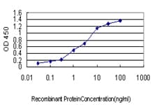 PLCG1 Antibody (clone 2A2)