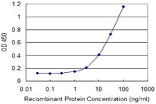 Monoclonal Mouse anti-Human POLR2J Antibody (clone 1A10, WB)