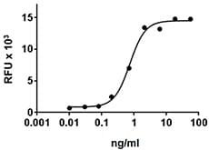 Human CCL17 / TARC Protein (Recombinant)