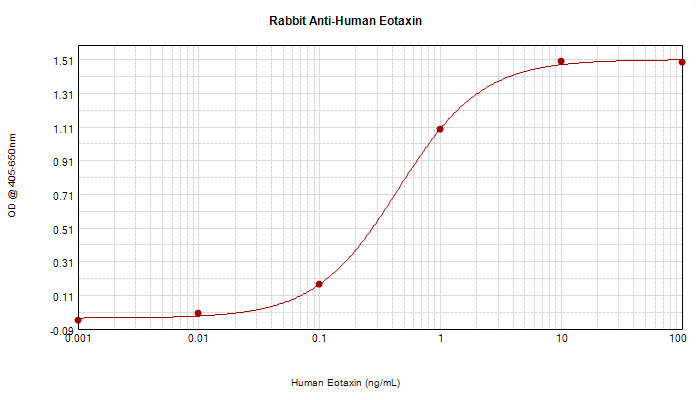Polyclonal Rabbit anti-Human CCL11 / Eotaxin Antibody (WB)