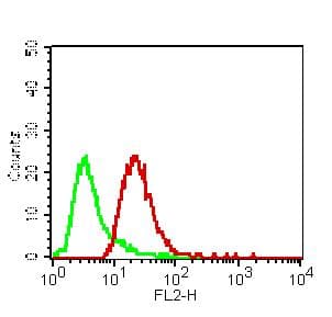 VISA / MAVS Antibody
