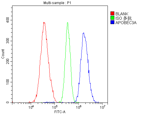 APOBEC3A Antibody