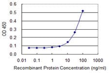 IHC-plus™ FOXQ1 Antibody (clone 2E2)