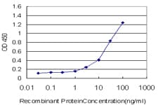 REG1A Antibody (clone 3C7)
