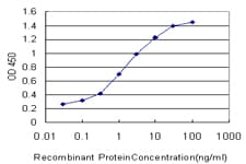 CDK3 Antibody (clone 3C12)