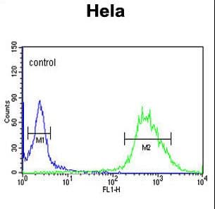 C16orf54 Antibody (aa170-198)