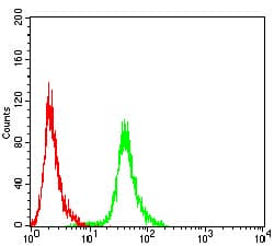 Monoclonal Mouse anti-Human ANAPC1 / APC1 Antibody (clone 7G9C7, WB)