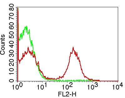CD16 + CD32 Antibody (clone 2.4G2)