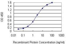 Monoclonal Mouse anti-Human GSTT2 Antibody (clone 1C12, WB)