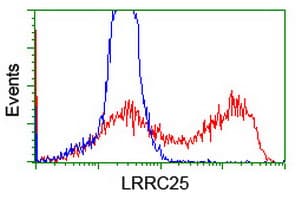 LRRC25 Antibody (clone OTI1D9)