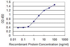 AP2B1 Antibody (clone 2D5)