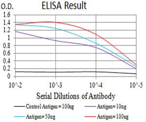 Monoclonal Mouse anti-Human ITGB4 / Integrin Beta 4 Antibody (clone 5G3G5, IHC, WB)