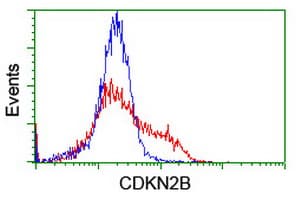 CDKN2B / p15 INK4b Antibody (clone OTI2D11)