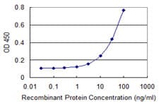 SDC2 / Syndecan 2 Antibody (clone 1B2)