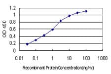 BID Antibody (clone 3F3-1A3)