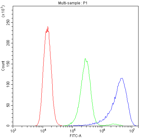 ATXN2 / SCA2 / Ataxin-2 Antibody (aa1293-1313)