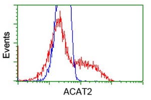 ACAT2 Antibody (clone OTI1B7)