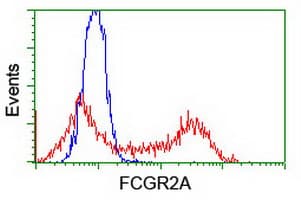 FCGR2 / CD32 Antibody (clone OTI19C10)