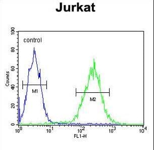 Polyclonal Rabbit anti-Human RPRD1B Antibody (aa254-282, WB)