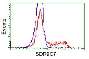 SDR9C7 Antibody (clone OTI10D2)