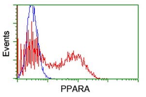 Monoclonal Mouse anti-Human PPARA / PPAR Alpha Antibody (clone OTI3G3, IF, WB)