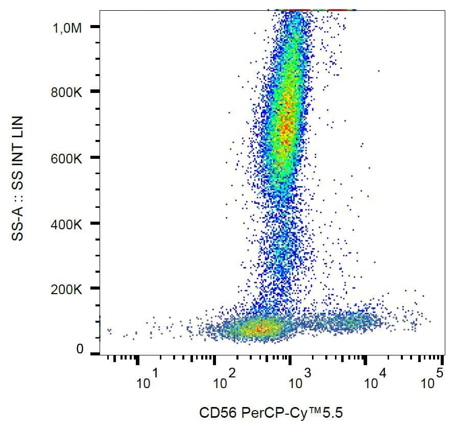 NCAM / CD56 Antibody (clone LT56, PerCP)