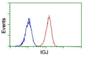 JCHAIN / Ig J Chain Antibody (clone 3B3, Carrier-free)
