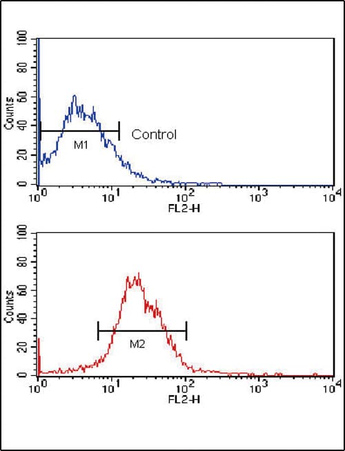 KLF4 Antibody (clone 56CT5.1.6)